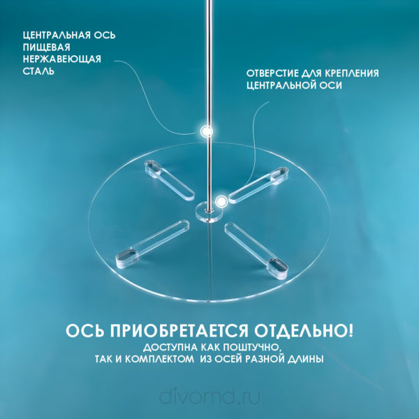prozrachnaya-tortovnica